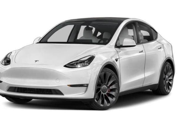 TESLA MODEL Y 2023 7SAYGDEE4PA118493 image